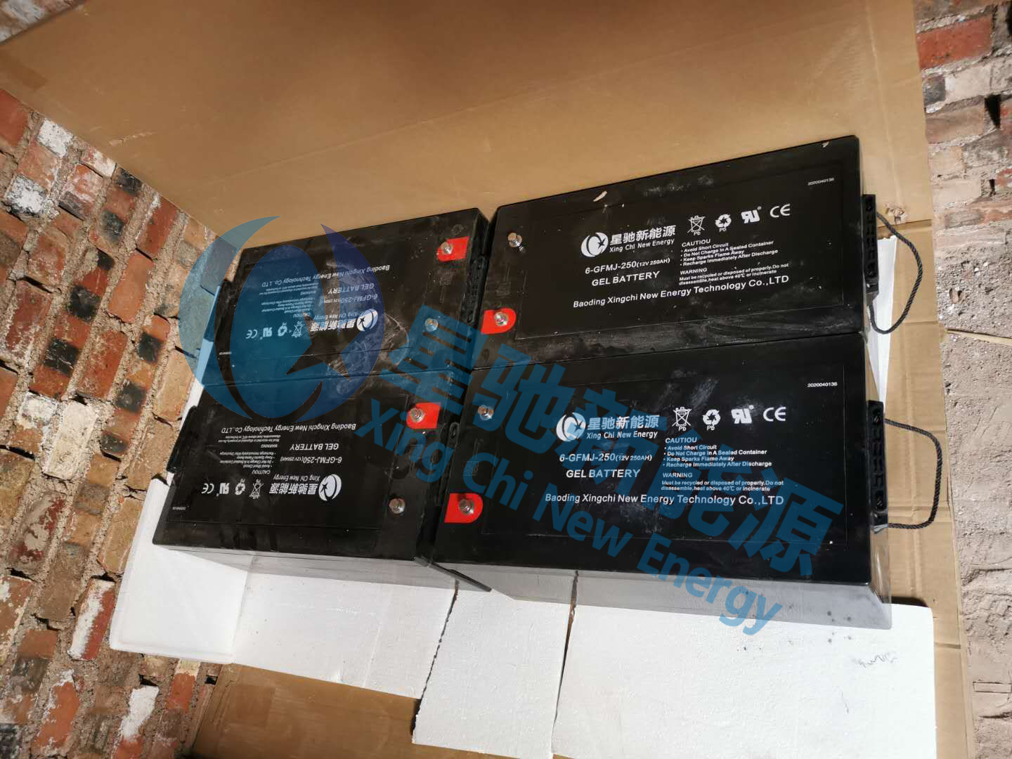 �B(y��ng)ֳ������x�W(w��ng)���ϵ�y(t��ng)